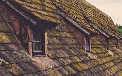 Are Asphalt Shingles the Only Choice for Shingling a Roof?